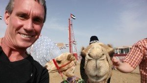 Camel with Fez